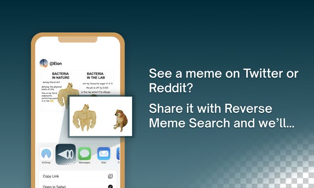 Reverse Meme Search