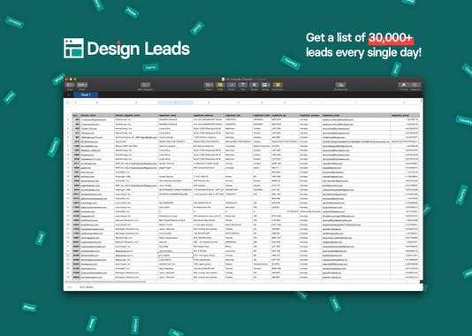 Design Leads