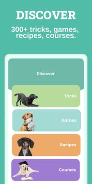 Hundeo: Dog Training App