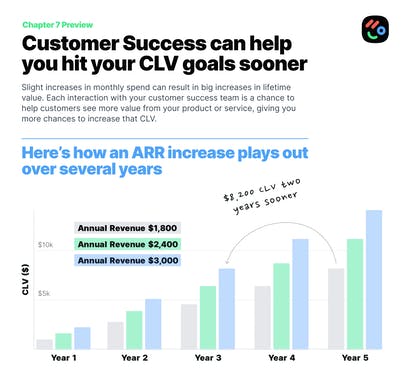 Startup CEO's Guide to Customer Success