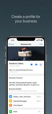 WhatsApp Business iOS