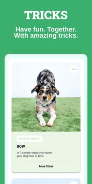 Hundeo: Dog Training App