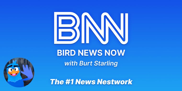 Bird News Now