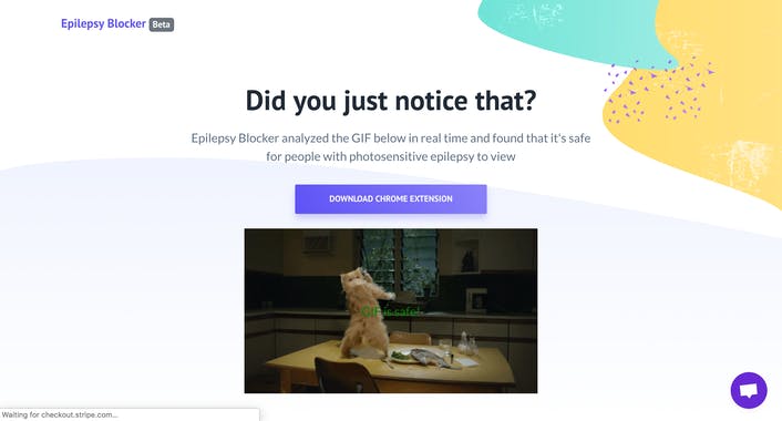 Epilepsy Blocker