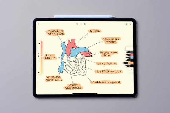 Flow by Moleskine Studio