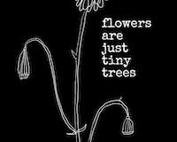 Flowers Are Just Tiny Trees (free eBook)