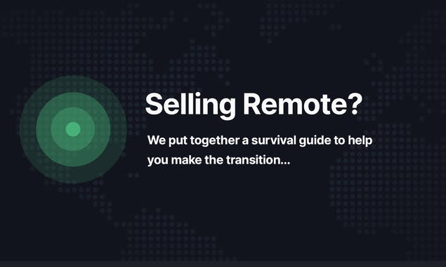 The Remote Sales Survival Guide