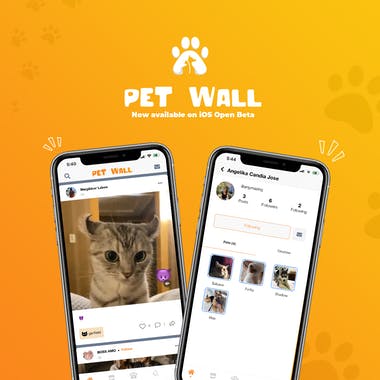 Pet Wall