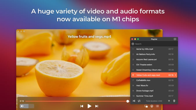 Elmedia Video Player 8.0