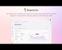 Segments Analytics