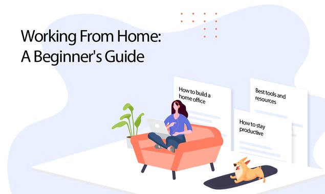 Working From Home: A Beginner's Guide