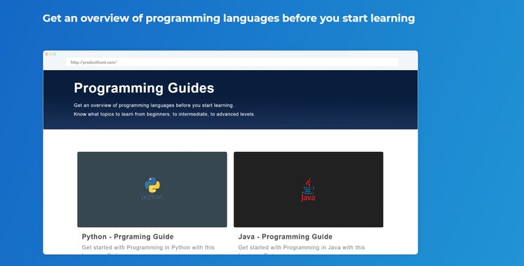 Programming Guides