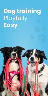 Hundeo: Dog Training App