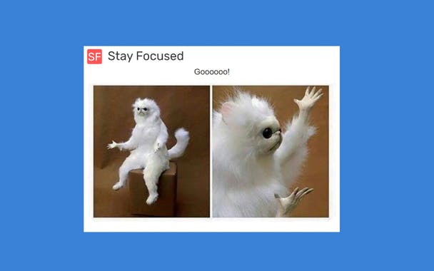 Stay Focused Chrome Extension