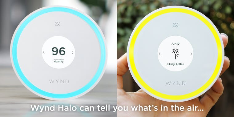 Wynd Halo + Home Purifier