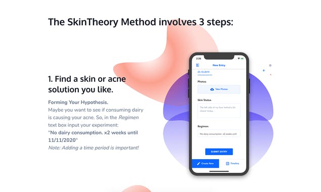 SkinTheory