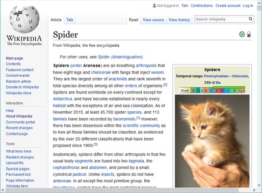 Spiders to Kittens