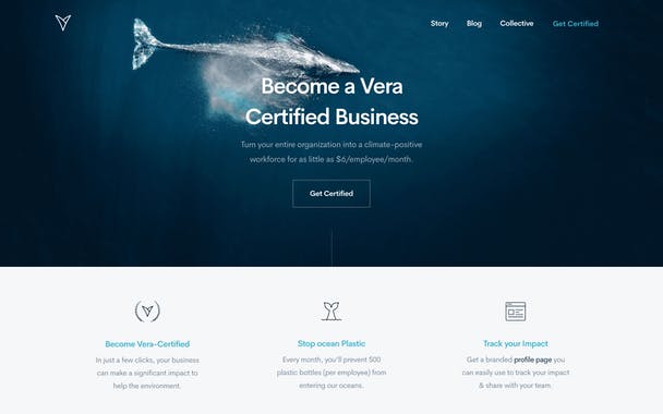 Vera for Business
