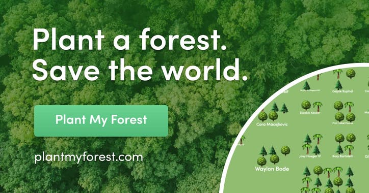 Plant My Forest 2.0