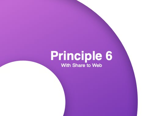 Principle 6