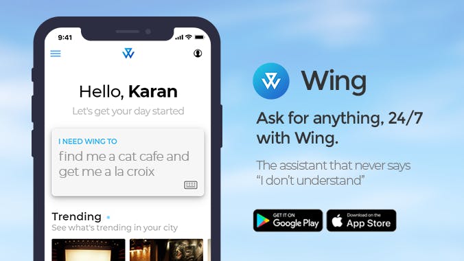 Wing Assistant