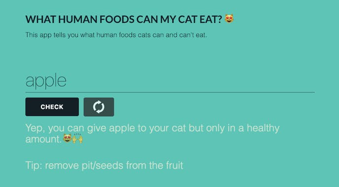 Foods Cats Can Eat